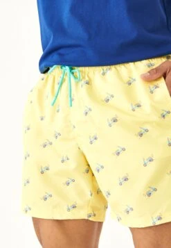 Standard Fit Figured - Zwemshorts - Yellow Mint -ZALANDO WINKEL 04dbd218530e4755a51ca0ec5b031653