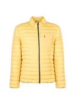 Geox Dennie - Jas - Gelb -ZALANDO WINKEL 06d301c3ddfa43168657ca5af77c565d