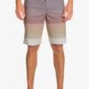 Quiksilver Surfsilk Massive 20 - Zwemshorts - Ygy