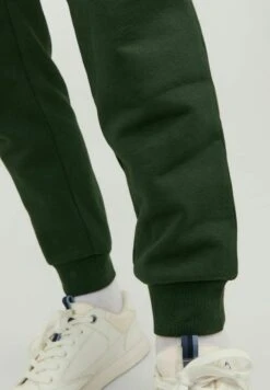 Jack & Jones Igordon Newsoft Gms- Trainingsbroek - Mountain View 13 Jack & Jones Igordon Newsoft Gms- Trainingsbroek - Mountain View -ZALANDO WINKEL 15cb5155ad9c412687c76be1d0c5e1ca