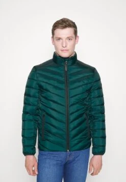 Tom Tailor Lightweight Jacket - Jas - Deep Green Lake