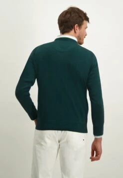 Regular Fit - Trui - Leafgreen Plain -ZALANDO WINKEL 5bdaa6300b9e44efb56d0d0b66a85fa4