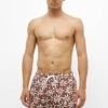 PULL & BEAR Daisy - Zwemshorts - Brown -ZALANDO WINKEL 62240121899144cda81d9436ea85b808
