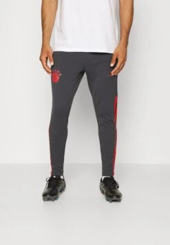 ADIDAS PERFORMANCE Fc Bayern München Trainings Pant - Trainingsbroek - Night Grey