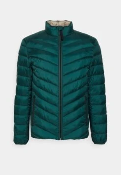 Tom Tailor Lightweight Jacket - Jas - Deep Green Lake -ZALANDO WINKEL 68b9eee412e04f33a46bef6b5092aca4
