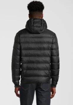 JOTT Nat - Gewatteerde Jas - Black -ZALANDO WINKEL 6b1ea27057d44ccb888b08b3143d1aa2