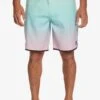 Quiksilver Everyday Scallop 19 - Zwemshorts - River Blue -ZALANDO WINKEL 6ea291d80f214e1c84fee97d8688e619