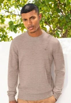 Giesswein Light Rundhals - Trui - Sandmelé