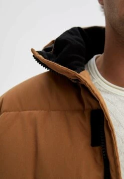 DeFacto Winterjas - Brown -ZALANDO WINKEL a6d427a06f1744d2ba6039d5395632b4