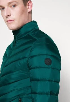 Tom Tailor Lightweight Jacket - Jas - Deep Green Lake -ZALANDO WINKEL ae41647fd7e34739b648caac9dc716be