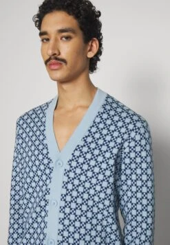 Sandro Cardigan - Vest - Bleu -ZALANDO WINKEL d1e165e98890499a81f6921817a4cb4e