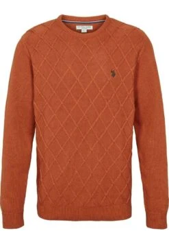 U.S. Polo Assn. Clive - Trui - Bombay Brown