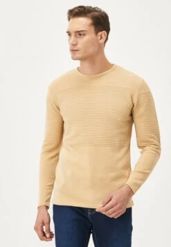 Standard Fit - Trui - Dark Beige